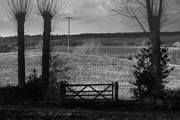 Gate