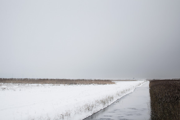 winter 6
