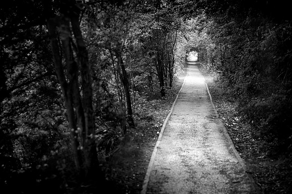 Tunnel