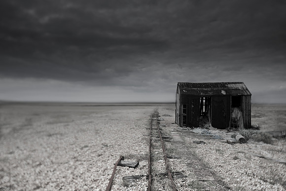 dungeness 7