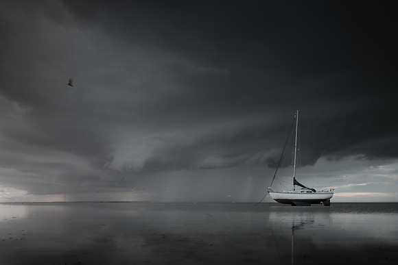 the coming storm 1