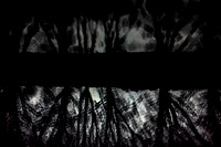 shadows #10