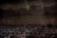 istanbul harbour #2