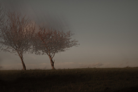 autumn #13