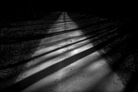 shadows #2