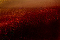 sea of blood #5