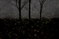 autumn #3