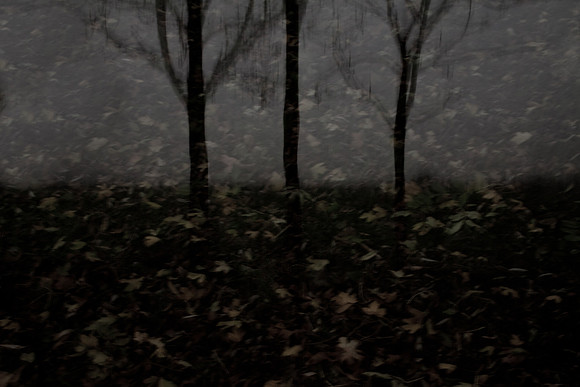 autumn #3