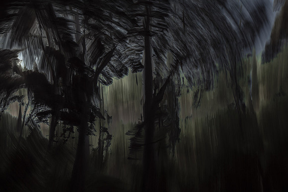 trees 28 #55