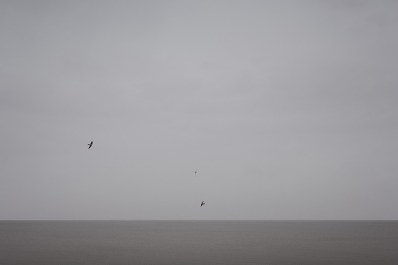 2012-11-24-1