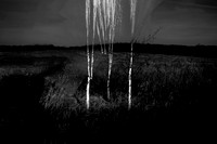 heroin-10