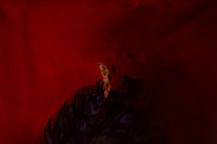 red #2