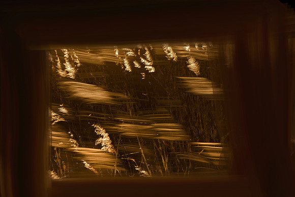 050315#57-2