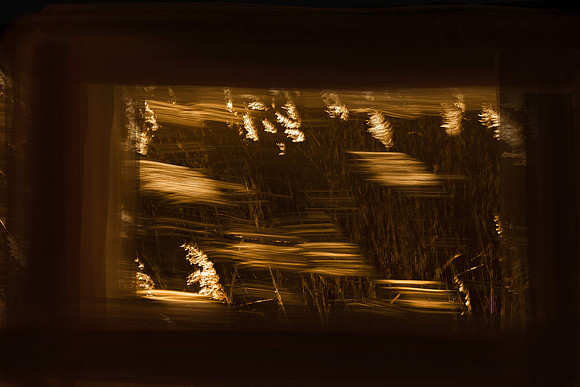 050315#57-4