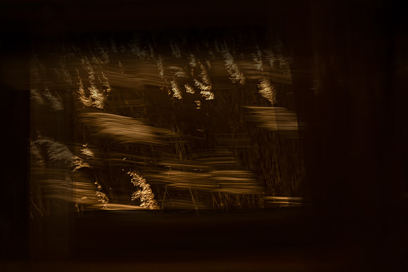 050315#57