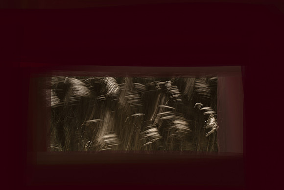 050315#128