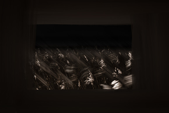 050315#30