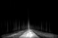 BW BLUR 2