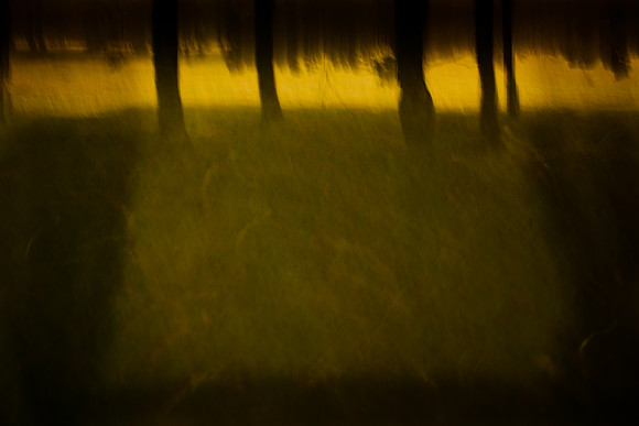 into the woods 2