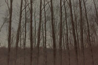 281114 #328