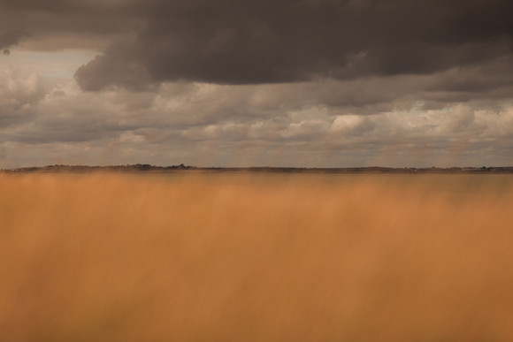 riverbank #20