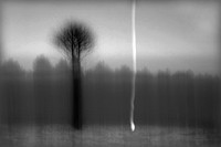 BW BLUR 1