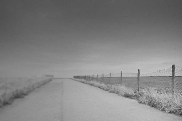 fence 1