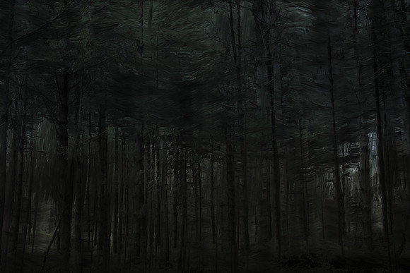 trees 28 #64