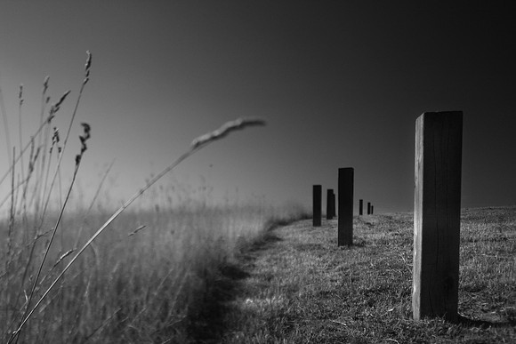 Posts