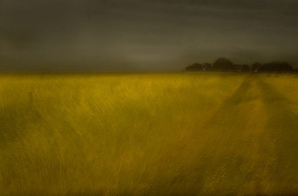 field 9