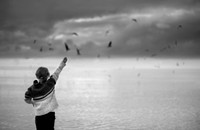 Feeding the birds 2