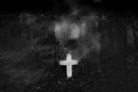 afterlife #8