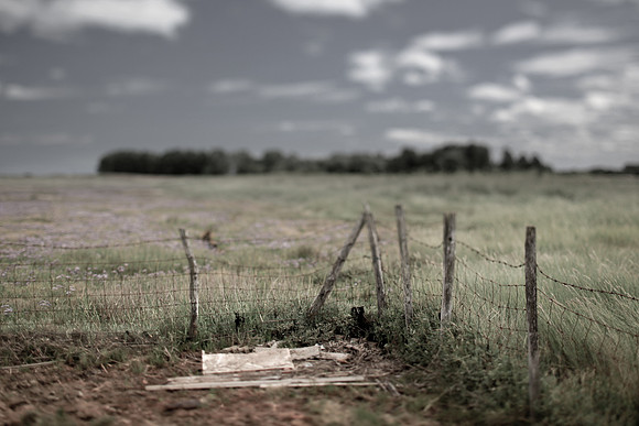 fence 1