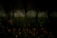 autumn #2
