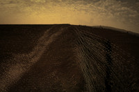 wire #7
