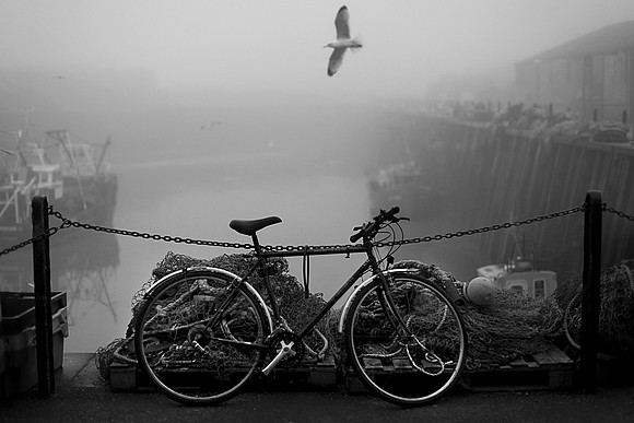 Fog 3