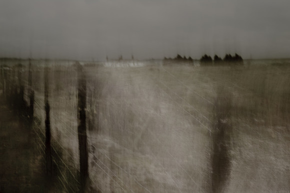 back home #3