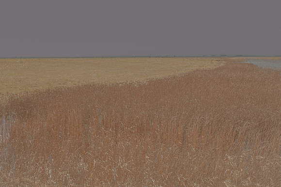 070315/215