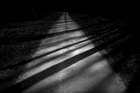 shadows #2