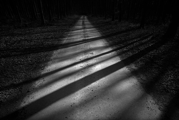 shadows #2
