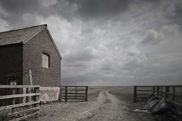 home 5