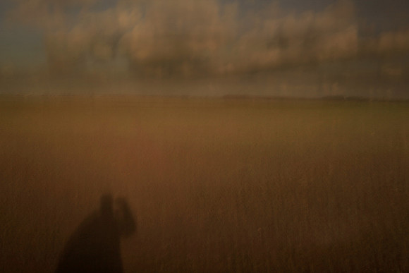 self portrait with field 1