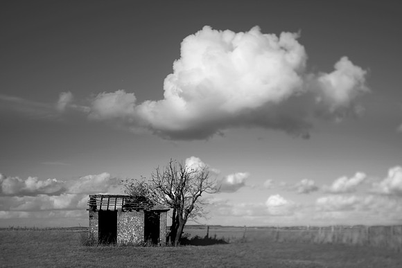 house 7