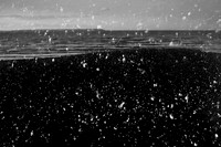 shoreline #21