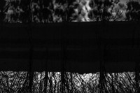 shadows #9