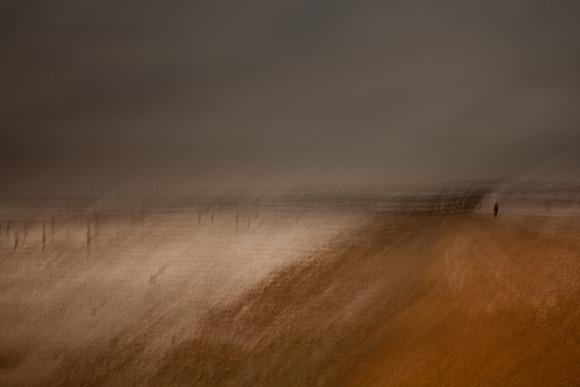 winter 8