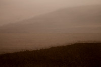 shoreline #26