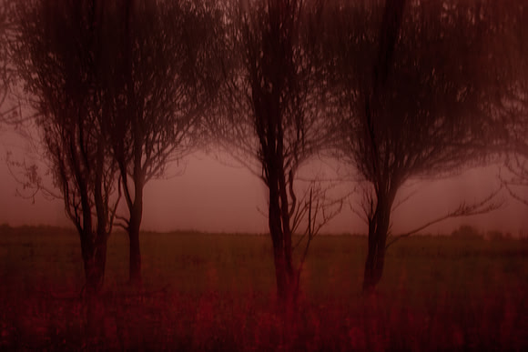 autumn #8