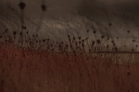 riverbank #28