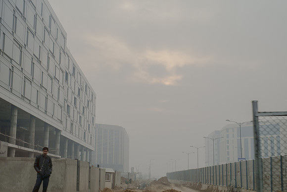 delhi #1272